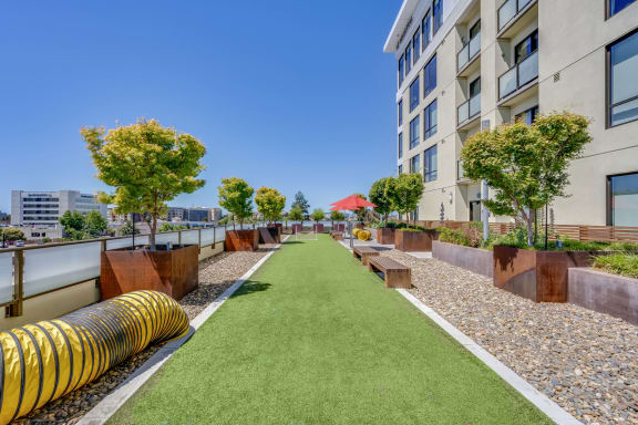 Outdoor Lounge at The Marston by Windsor, 825 Marshall Street, CA