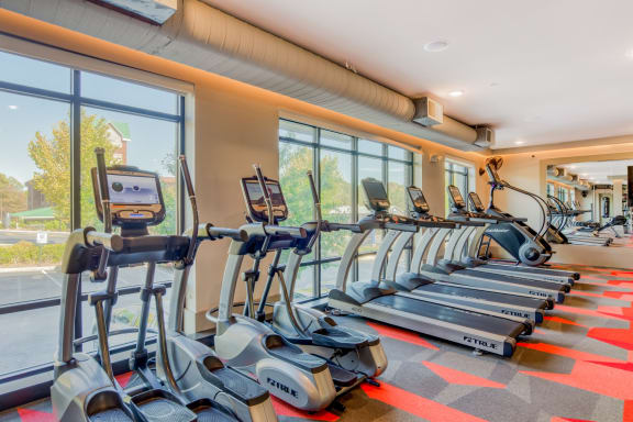 gym with cardio equipment and large windows at the enclave at woodbridge apartments in sugar land,
