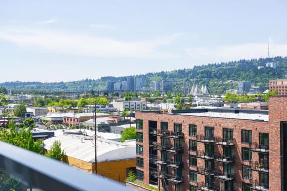 View From Roof at Windsor Buckman, Portland