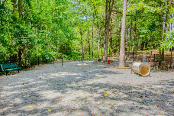 a campsite with a bench and fire hydrant in a wooded area
