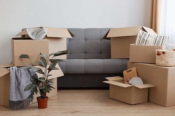 a room full of cardboard boxes and a plant and a couch