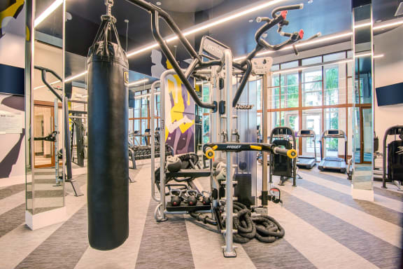 Fitness Center Strength and Conditioning Equipment at Windsor at Pembroke Gardens, Florida