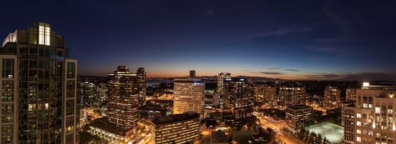 Night View of City Bellevue, WA Night View