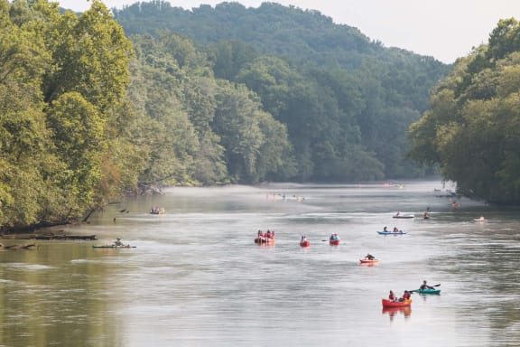 people kayaking on a river surrounded by trees