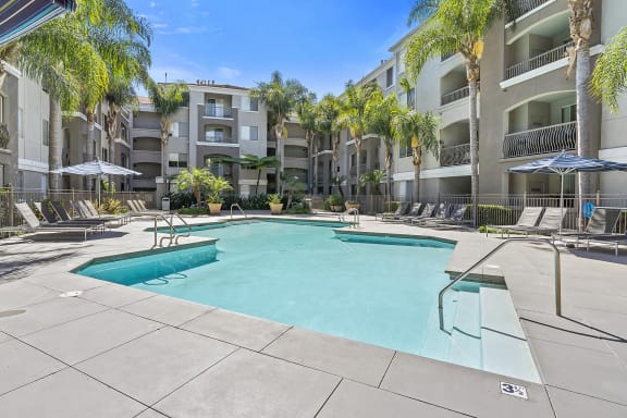 our apartments have a large swimming pool with chairs and palm trees