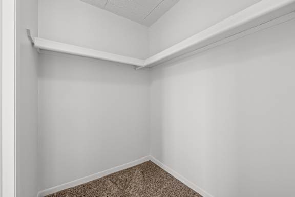 A white wall with a shelf and carpeted floor.