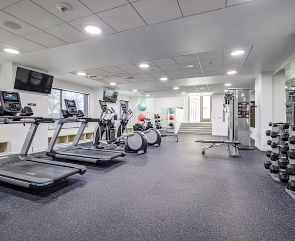 A spacious gym with treadmills, elliptical machines, and dumbbells.