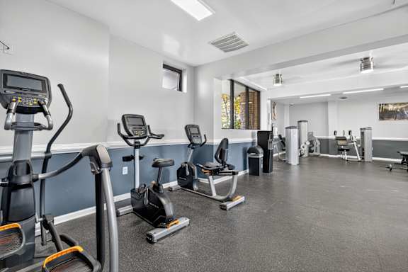 A gym with treadmills, exercise bikes, and other equipment.