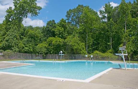 A large swimming pool surrounded by trees.