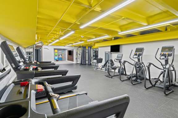 A gym with a variety of exercise equipment including treadmills, stationary bikes, and weight machines.