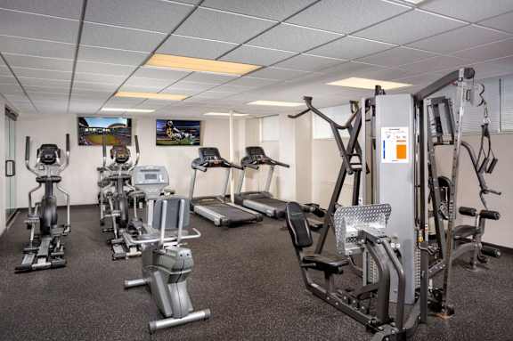 A gym with a variety of equipment including treadmills, elliptical machines, and weight machines.
