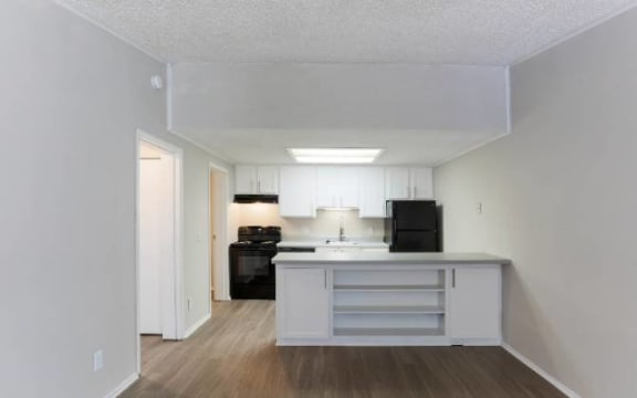 Kitchens With Ample Storage at Elevate Woodstock Apartmnets, Georgia