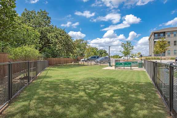 A green lawn with a fence and a building in the background.