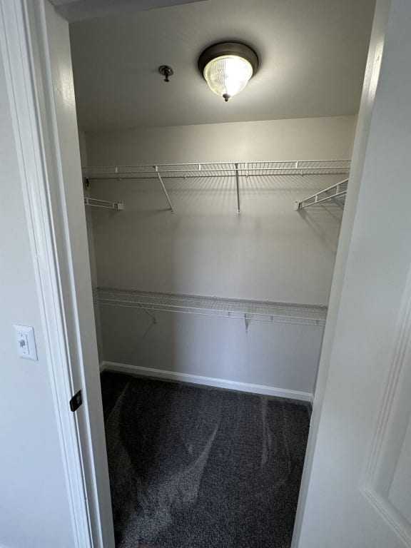 a walk in closet with shelves and a ceiling light at Carisbrooke at Manchester Apartments, New Hampshire
