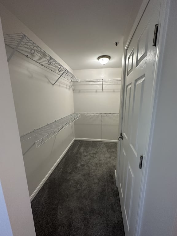 a walk in closet with shelves and a white door at Carisbrooke at Manchester Apartments, New Hampshire