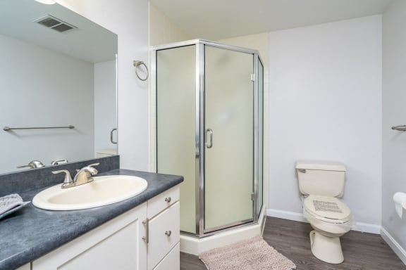 a bathroom with a shower and a sink and a toilet at Carisbrooke at Manchester Apartments, New Hampshire
