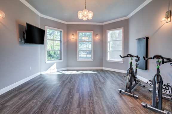 Exercise Equipment at Century Ariva, Lakeland, Florida