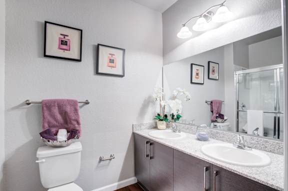 Vanity Lights at Century Ariva, Lakeland, FL 33812