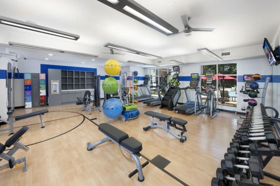 a spacious gym with treadmills and other exercise equipment