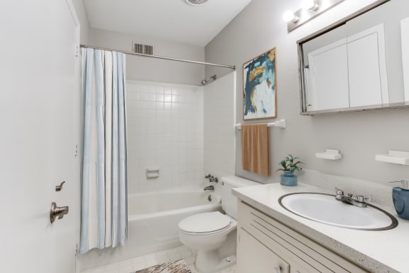 a bathroom with a white sink and toilet next to a white bathtub with a shower curtain  at The Mason Mills Apartments, Decatur, 30033