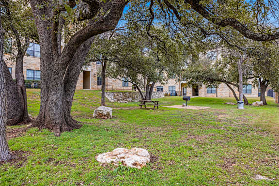 A tree in a grassy area with a building in the background. at The Royce at 8100, Texas, 78729