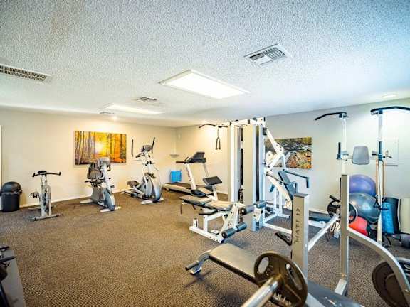 A well-equipped gym with various exercise machines and weights.