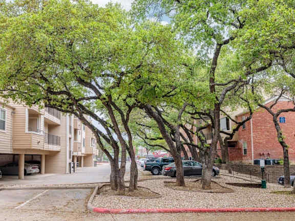 A row of trees in front of apartment buildings.