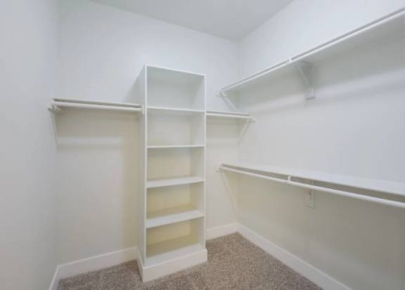A white closet with shelves and a carpeted floor.