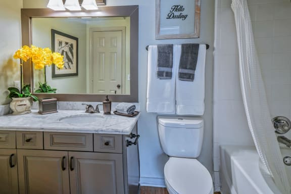 Luxurious Bathroom at The Aster Sugar Land Apartments, Sugar Land, Texas