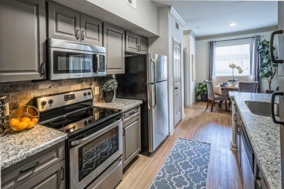 Kitchen Appliances at That The Aster Sugar Land Apartments, Sugar Land, Texas