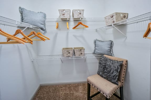 Large Walk-In Closets at The Aster Sugar Land Apartments, Sugar Land, Texas
