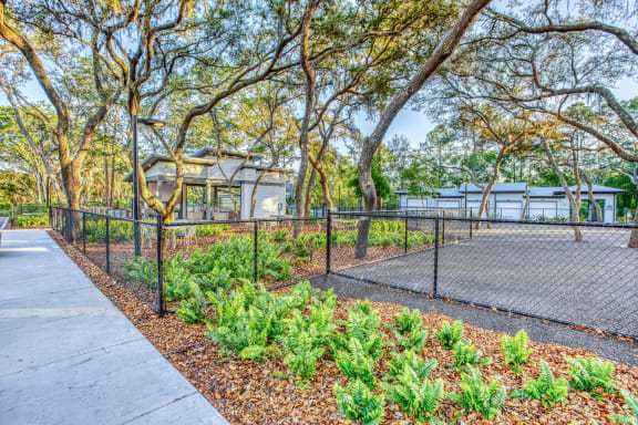 a fenced in dog park with trees and a building in the background at The Beck at Hidden River, Tampa, 33637