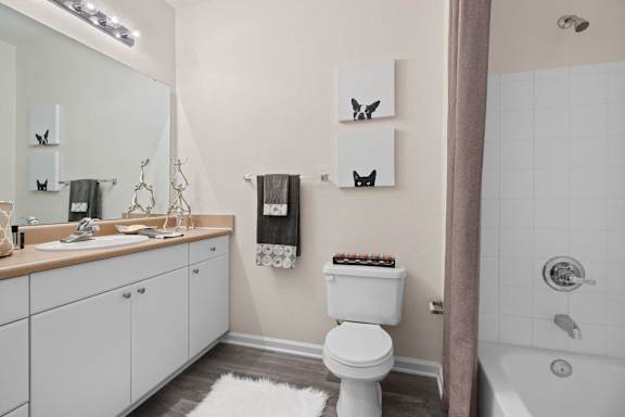 Bathroom with white vanity and tub shower combo at Alden Place at South Square Apartments, North Carolina