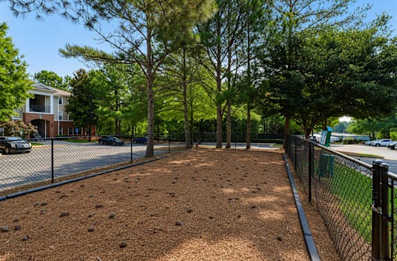 A backyard with a fence and a dirt area.