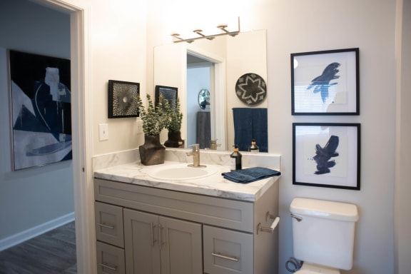 a bathroom with a white toilet next to a sink with a mirror above it at Appling Lakes, Cordova, 38016