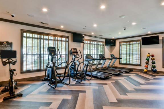 Gym equipment1 at Ashby at Ross Bridge, Hoover