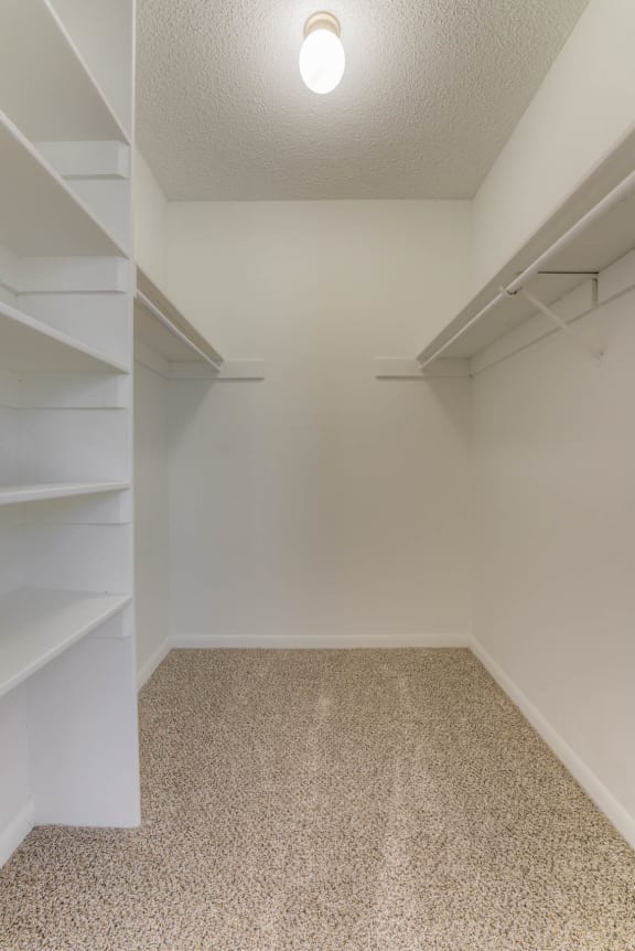 a walk in closet with shelves and a light&#xA0;at Brightwaters Apartments, Little Rock