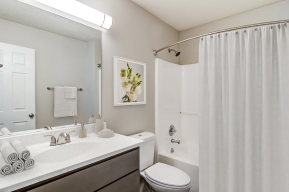 a bathroom with a shower and a sink and a toilet  at Serene at Creekstone, Georgia