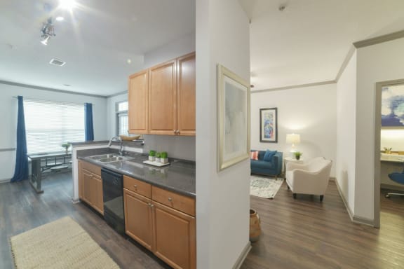 the preserve at ballantyne commons apartment kitchen and living room at The Shallowford, Chattanooga, TN