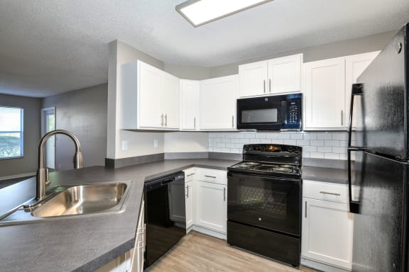 Modern Kitchen at Paradise Island Apartments in Southside Jacksonville, FL