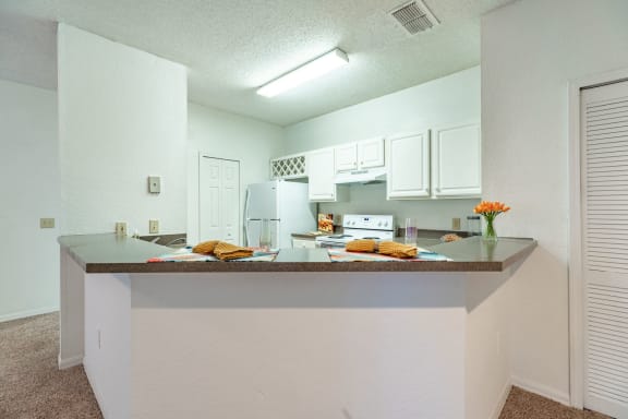 Paradise island kitchen at Paradise Island, Florida