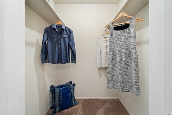 Large Walk in Closet at Rise at Signal Mountain, Tennessee, 37405