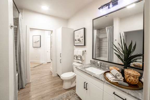 a bathroom with a large mirror and a toilet