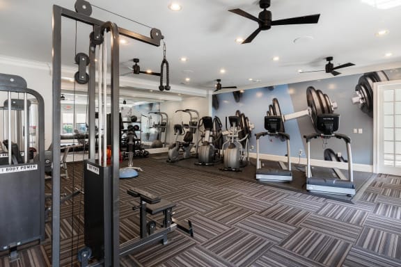 Fitness Center a at The Berkeley Apartments, Georgia, 30096