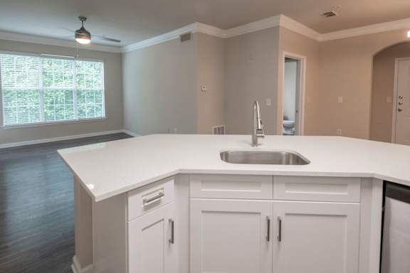 Kitchen Sink With Faucet at The Berkeley, Duluth, GA, 30096