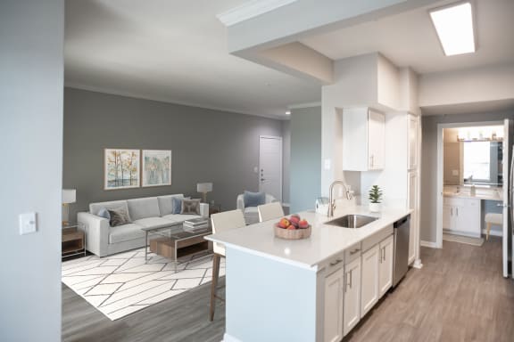 a kitchen and living room with couch at The Moorings, League City, TX