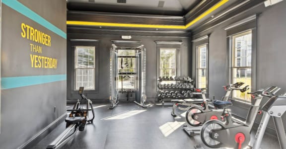 a gym with weights and cardio equipment in a home gym