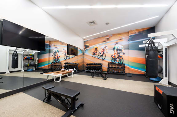 a fitness room with boxing equipment and a mural on the wall