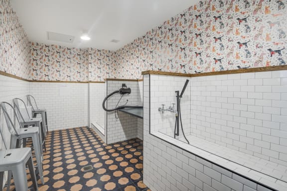 Pet spa with bathing and grooming equipment