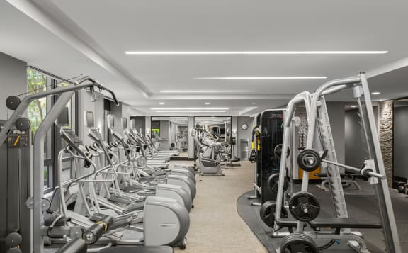 an image of a gym with cardio equipment